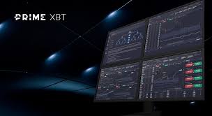 Discover the World of PrimeXBT Copy Trading Discover the World of PrimeXBT Copy Trading