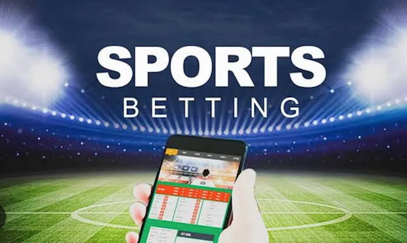 Explore the Exciting World of r2 bet