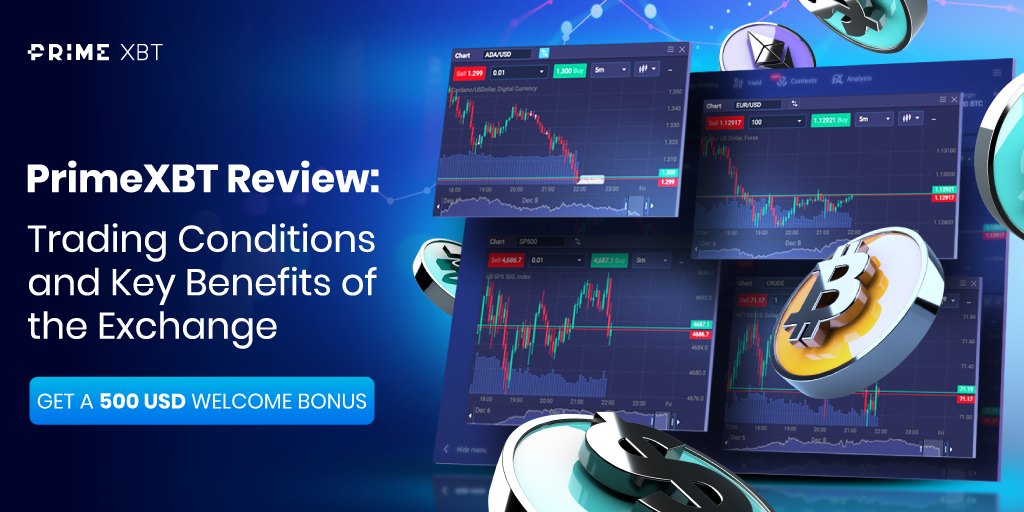 How Many PrimeXBT Users Insights into the Trading Platform How Many PrimeXBT Users Insights into the Trading Platform